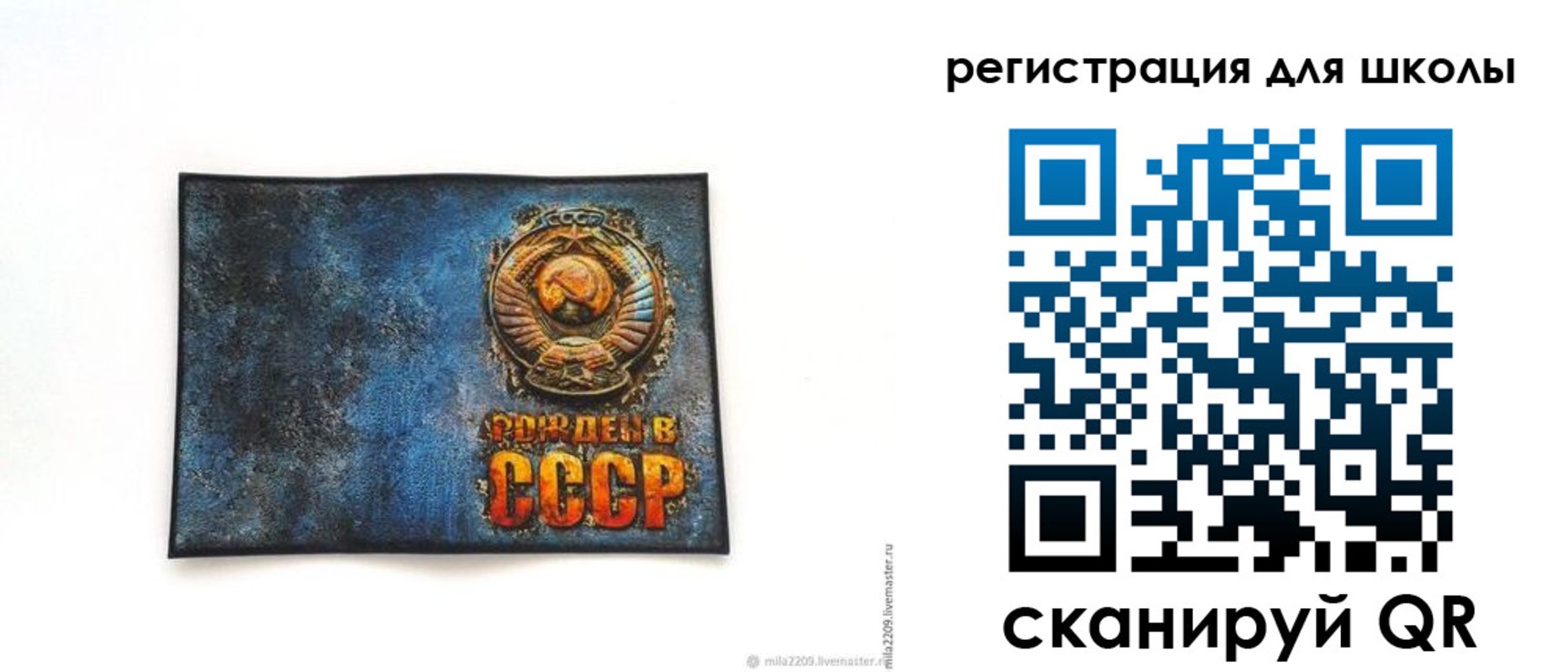 регистрация в Завитинске